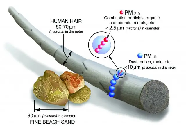 Comparing the size difference between fine beach sand, human hair, PM10, PM2.5